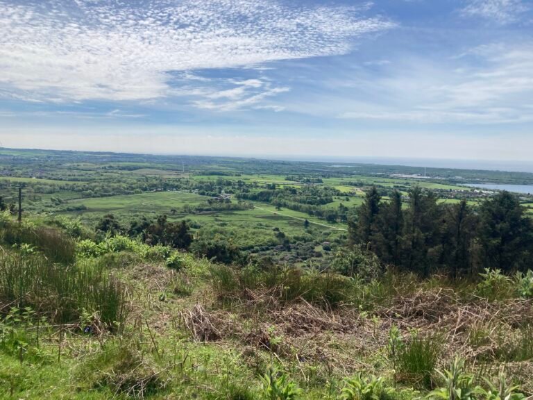 XCC & Fun/Sport Results – National XC Series Round 2 Margam Park